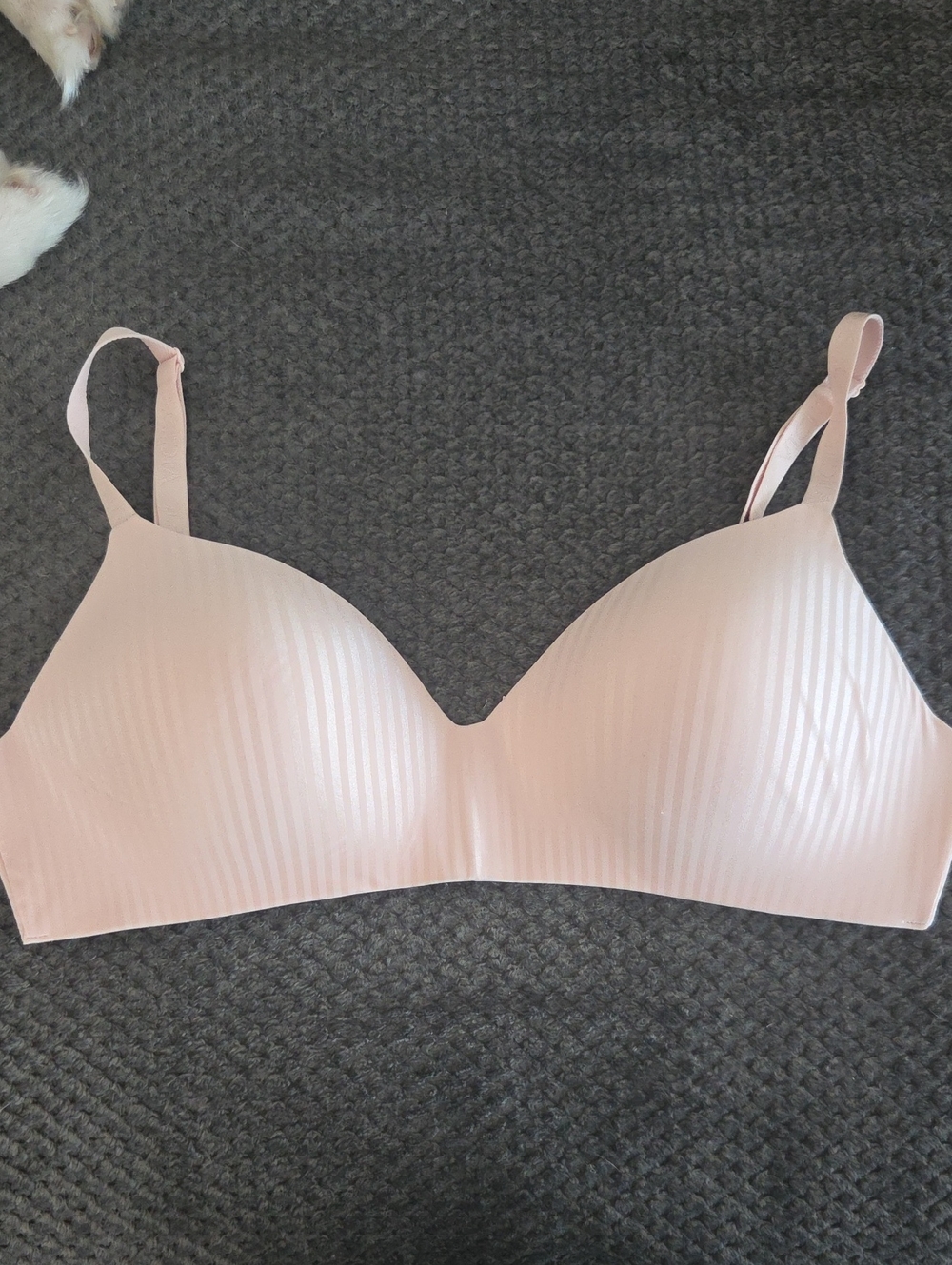 Victoria's Secret Blush Pink Wireless T-Shirt Bra